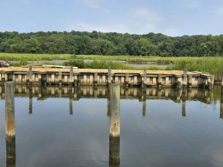 FAQs ec5596f7-846b-4170-98ed-38fddad051fc.jpg